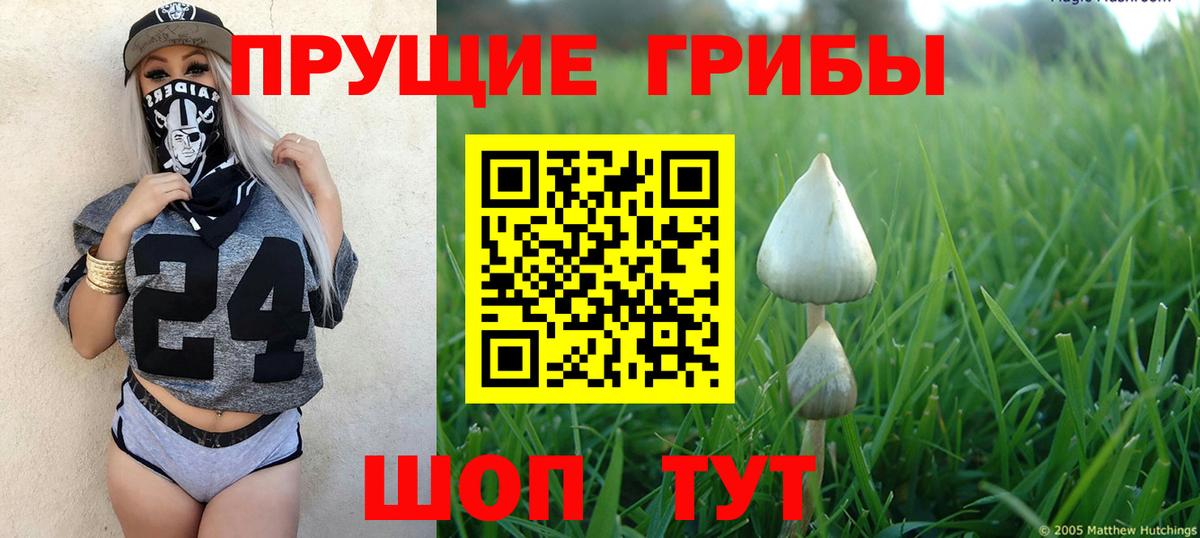 Трёхгорный  Псилоцибиновые грибы мицелий  Галлюциногенные грибы Psilocybine cubensis  Вход с VPN 